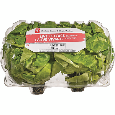 President's Choice Live Lettuce Green, 2-pack 1 ea, $3.50/1ea