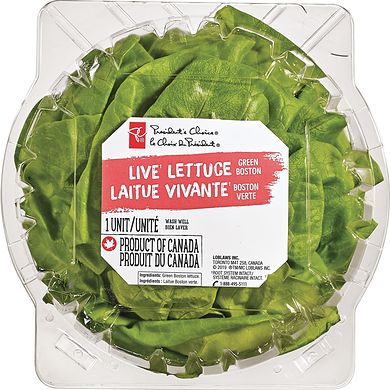 President's Choice Live Lettuce Boston 1 ea, $4.00/1ea