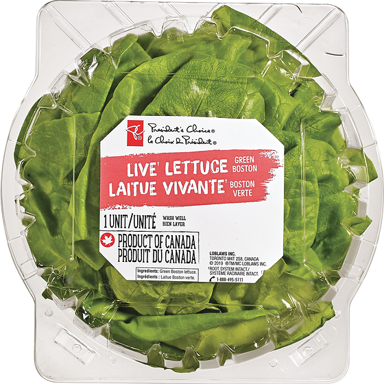 President's Choice Live Lettuce Boston 1 ea, $4.00/1ea