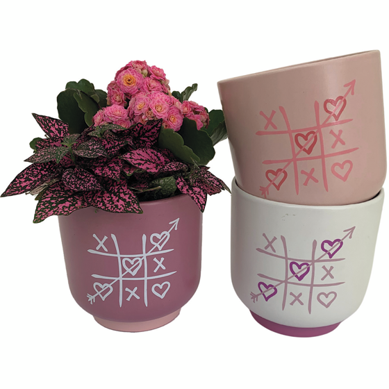 null Jardinière en tasse de la Saint-Valentin 1 ea, 22,00 $/1ch