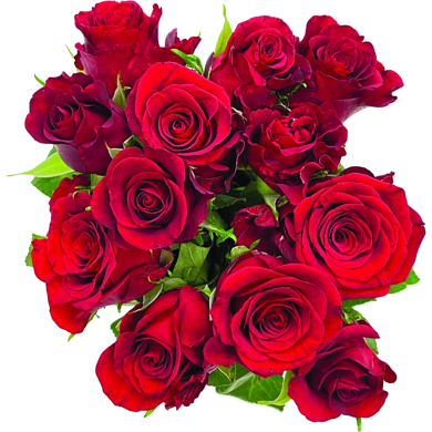 null Red Dozen Roses 1 ea, $26.00/1ea