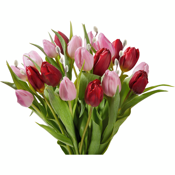 null Tulipe, bouquet de 20 tiges, couleurs assorties 1 ea, 22,00 $/1ch