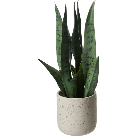 Life at Home Sansevière à trois bandes artificielle dans un pot en céramique au sable, 16 po (40,6 cm) 1 ea, 21,00 $/1ch