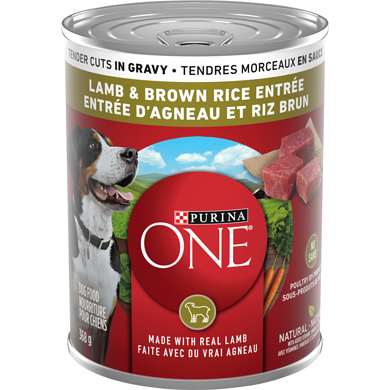 Purina ONE Tendres Morceaux en Sauce Entrée d'Agneau et Riz Brun, Nourriture Humide pour Chiens 368 g 368 g, 0,81 $/100g