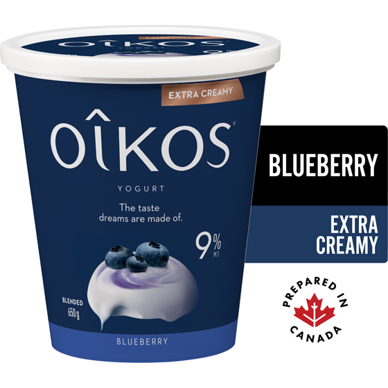 Can I Feed My Dog Blueberry Yogurt