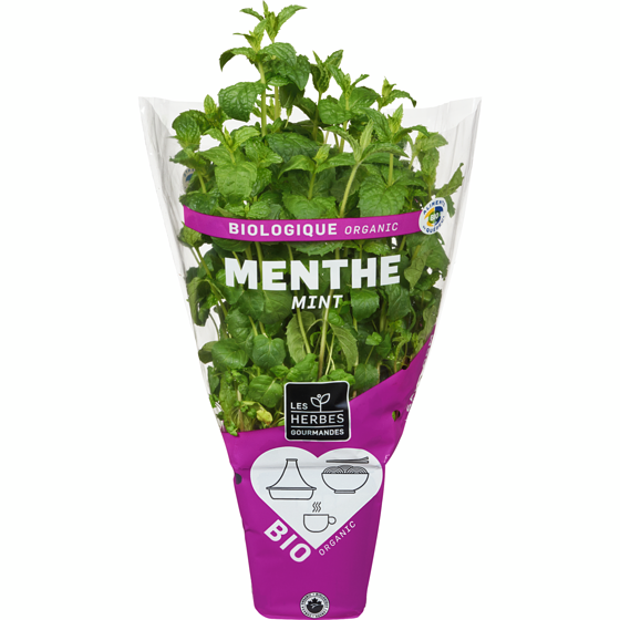 null Mint Organic 1 ea, $6.00/1ea