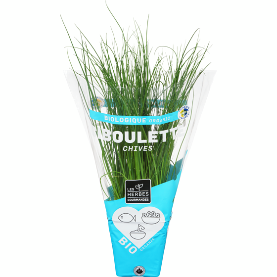 null Chives Organic 1 ea, $6.00/1ea