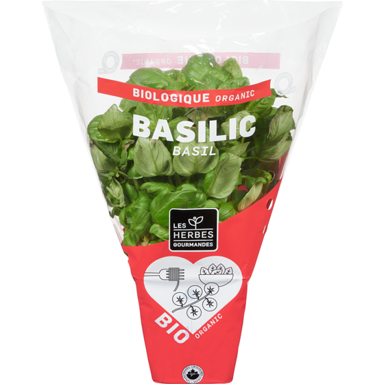 null HG FRESH ORG BASIL 4'' POT 1 ea, 6,00 $/1ch