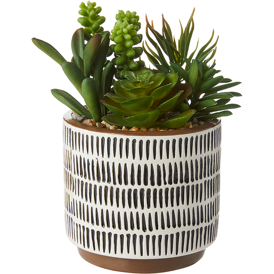 Life at Home Faux Succulent Arrangement in 2-Tone Brown and White Dash Design Ceramic Pot, 7.08 in 1 ea, $10.50/1ea