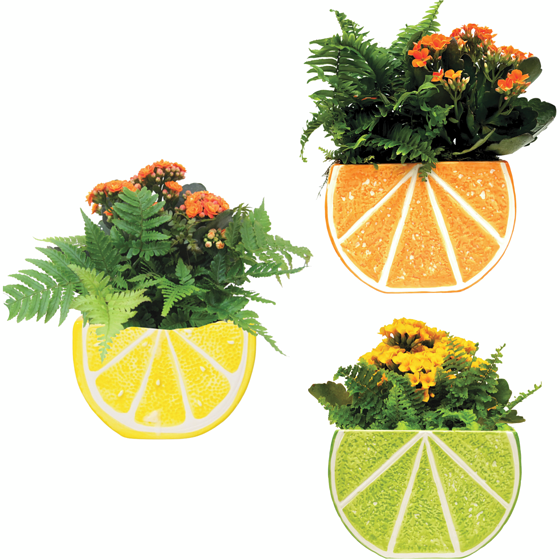 null Jardinière fantaisie 1 ea, 26,00 $/1ch