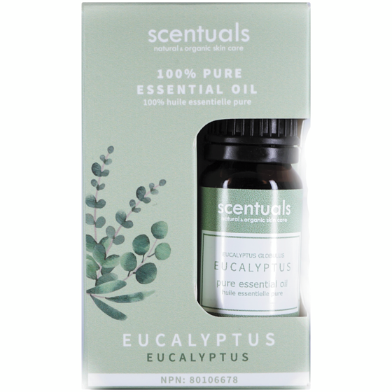 Scentuals Huile essentielle eucalyptus 10 ml, 100,00 $/100ml