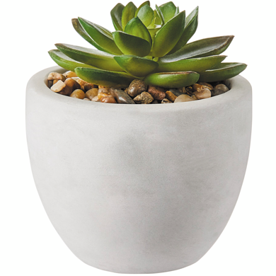 Life at Home Mini Succulent In Cement Pot 1 ea, $3.50/1ea