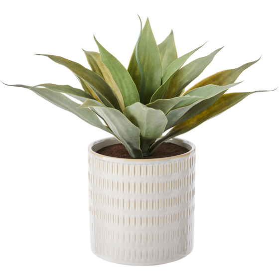 Life at Home Agaves artificiels avec pot 1 ea, 14,00 $/1ch