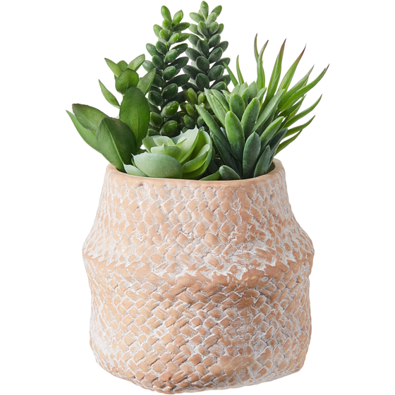 Life at Home Faux Desert Succulents 1 ea, $9.05/1ea