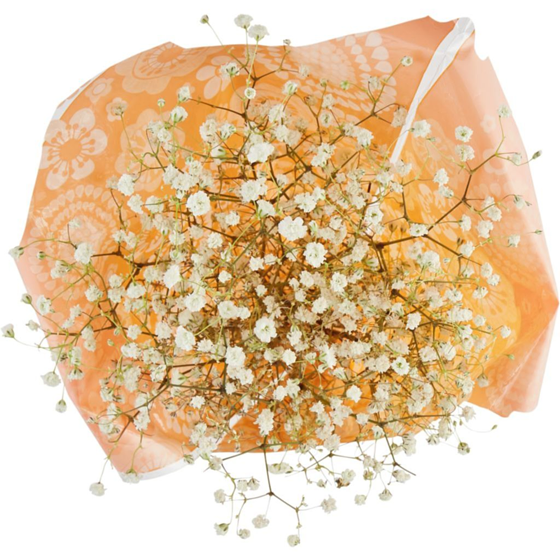 null Souffles de bébé 1 ea, 12,00 $/1ch