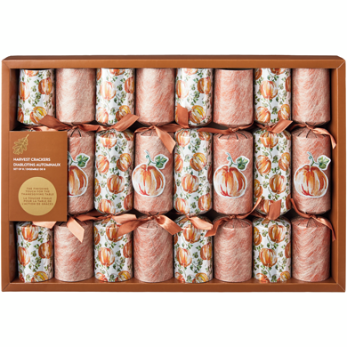 HEAT CRACKER PREMIUM ADVANCE 188×130cm Premium Plus Crackers, Salted Tops, 1.35 kg | Costco