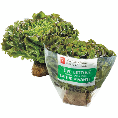 President's Choice Live Lettuce Red, 1-count 350 g, $4.00/1ea