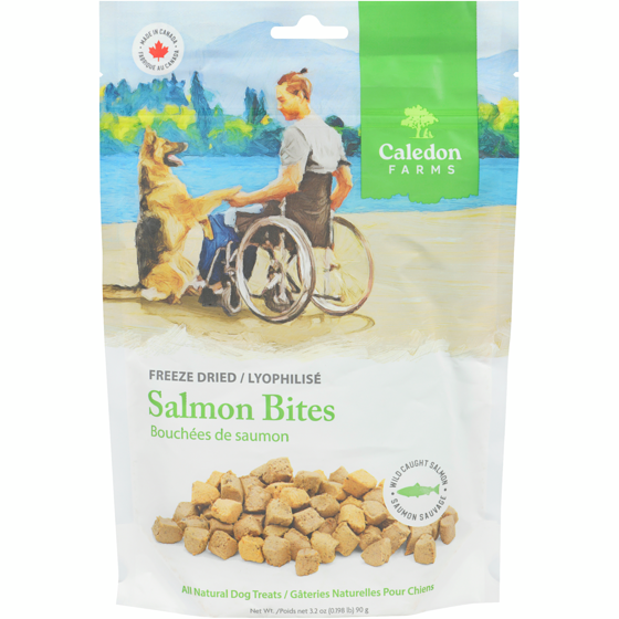Caledon Farms Gâteries naturelles pour chiens bouchées de saumon 90 g, 12,21 $/100g