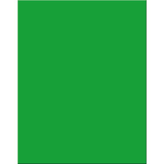 null Premium Poster Board - Green 1 ea, $2.00/1ea