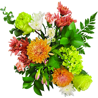 null Premium Bouquet, Jumbo 1 ea, $40.00/1ea