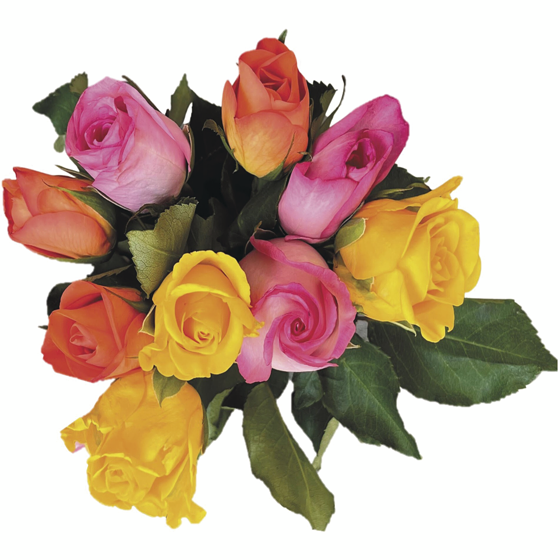 null Roses 9 tiges 1 ea, 10,00 $/1ch