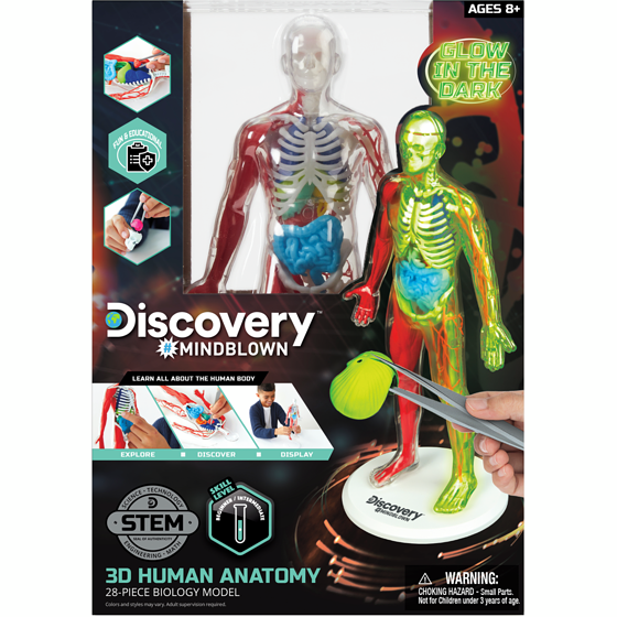 Discovery Human Anatomy Kit 1 ea, $30.00/1ea
