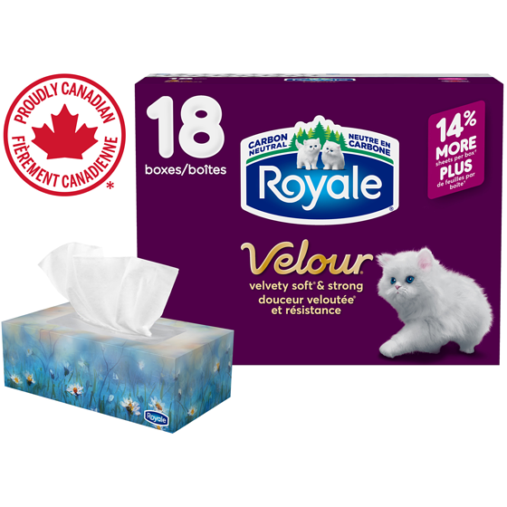 Royale Velour Facial Tissue, 18 Flat Boxes, 82 Tissues per box 18 ea, $1.67/1ea