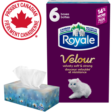 Royale Mouchoirs Velour à 3 épaisseurs, 6 boîtes, 82 mouchoirs par boîte 6 ea, 1,67 $/1ch