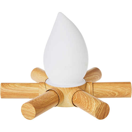 Everyday Essentials Light Up Campfire Lantern 1 ea, $19.00/1ea