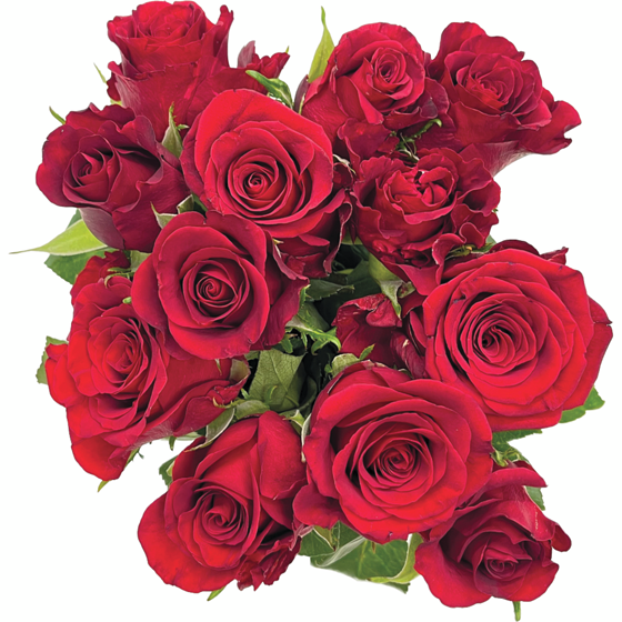 null Roses 9-Stem 1 ea, $10.00/1ea