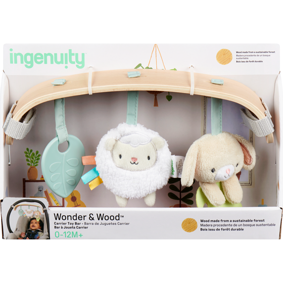 INGENUITY Wonder & Wood Carrier Toy Bar 0-12m+ 1 ea, $24.99/1ea