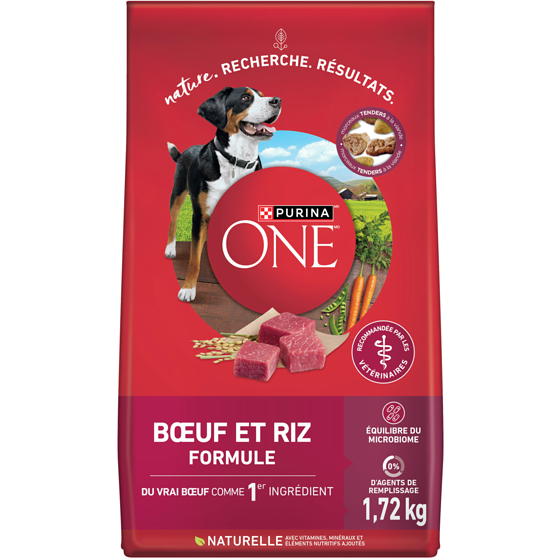 Purina ONE équilibre du microbiome formule bœuf et riz, nourriture sèche pour chien 1.72 kg, 0,87 $/100g