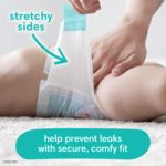 baby dry pampers 4
