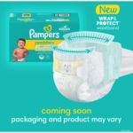 pampers swaddlers night
