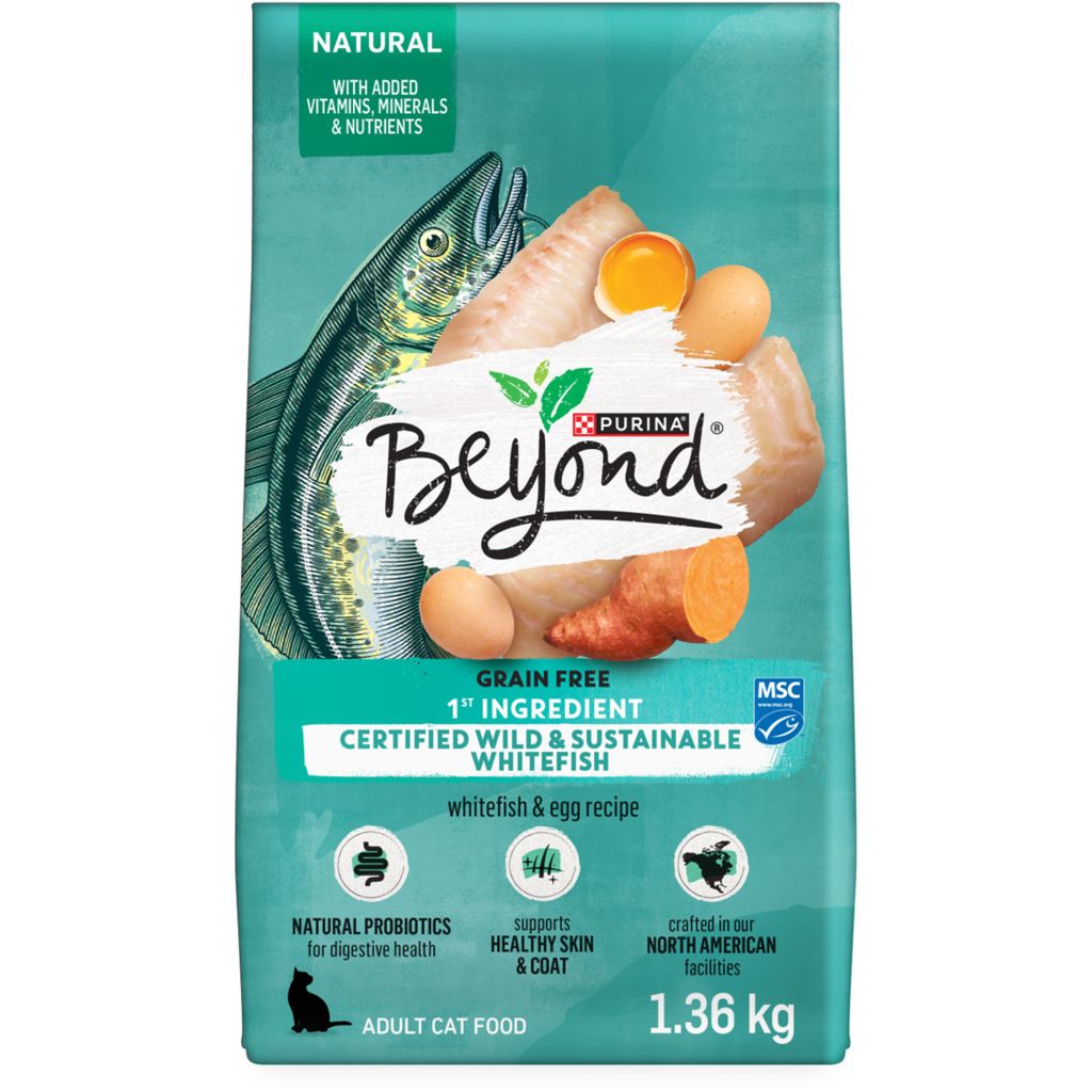 Purina Beyond Cat Food >> Purina Beyond Grain Free Natural Dry Cat Food Ocean Whitefish Egg Recipe Purina Beyond Cat Food >> Purina Beyond Grain Free Natural Dry Cat Food Ocean Whitefish Egg Recipe