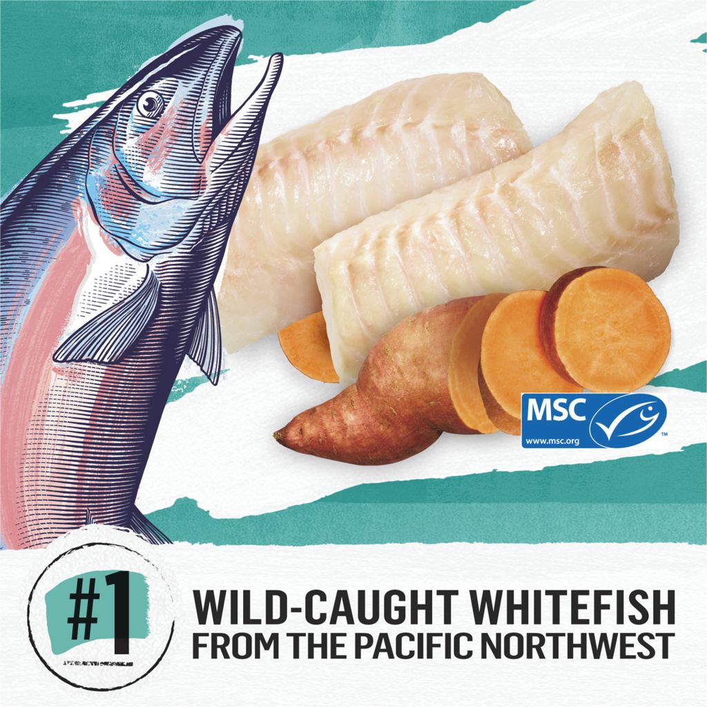 purina beyond ocean whitefish
